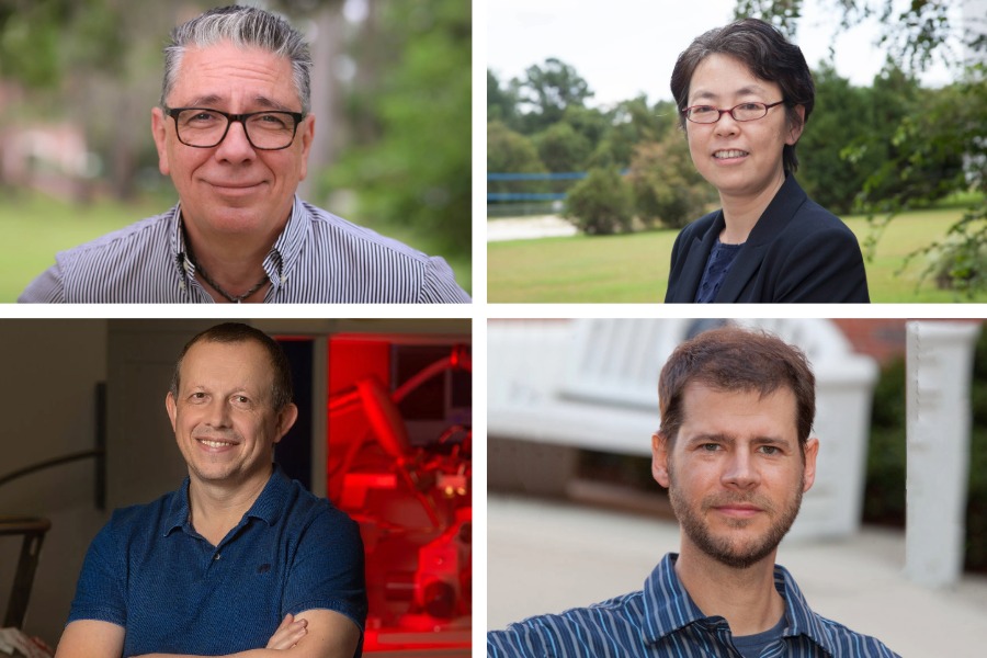 A four-panel grid photograph featuring portraits of four different individuals. Each panel has white space around it.