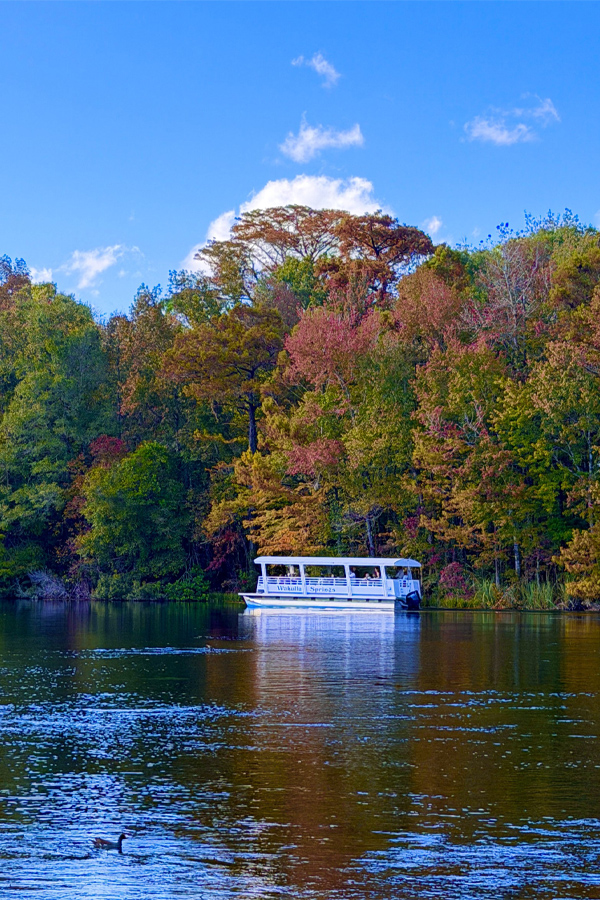 A boat on the Wakulla River in front of fall foliage.