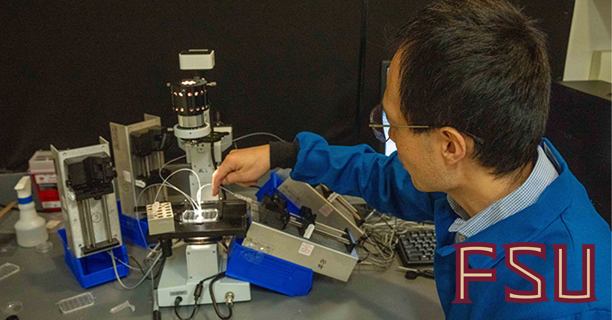 Florida State University, National MagLab investigate soil microbes from around the world for new antibacterial drugs