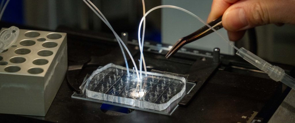 A small piece of silicone etched with tiny channels. Several small tubes are attached to the silicone. A hand holding tweezers is visible on the right side of the image.