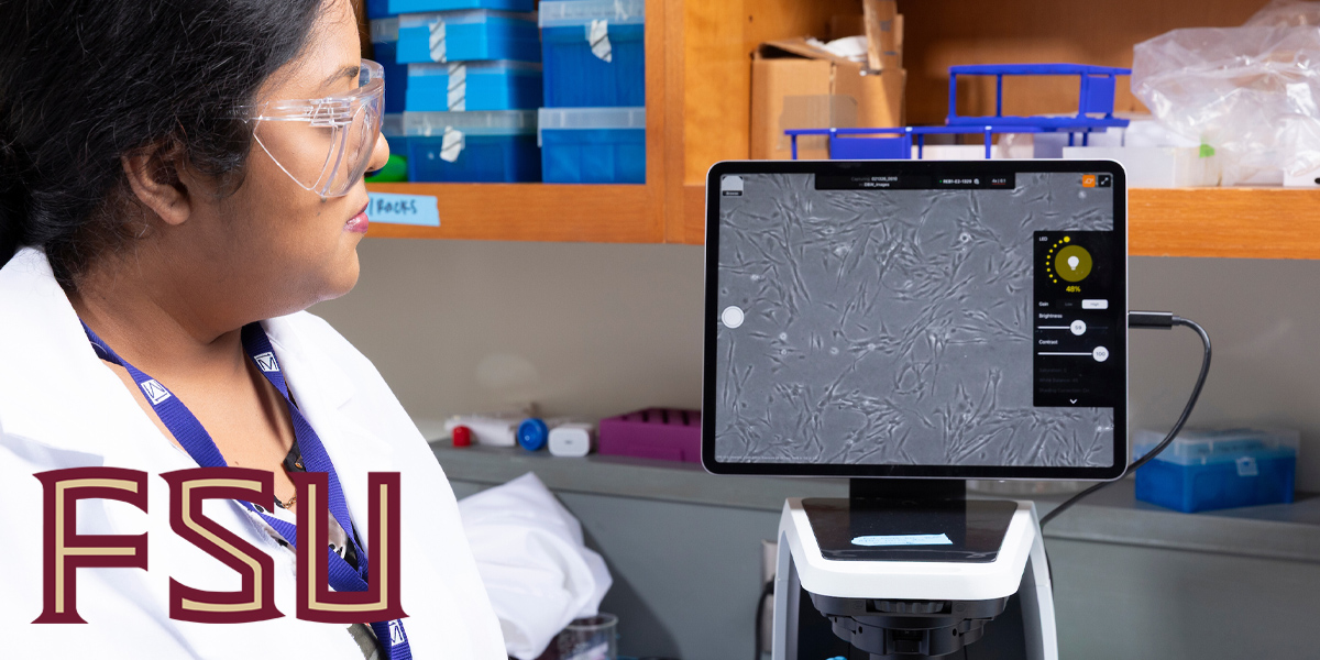 FAMU-FSU College of Engineering researchers improve analysis of molecules linked to Alzheimer's disease
