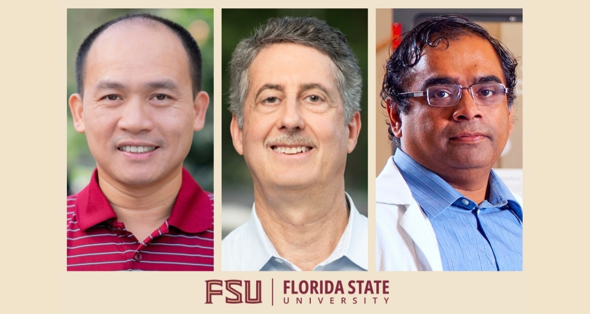 Photograph accompanying Florida State chemists use UV crosslinking to keep radiation-detector films intact in water