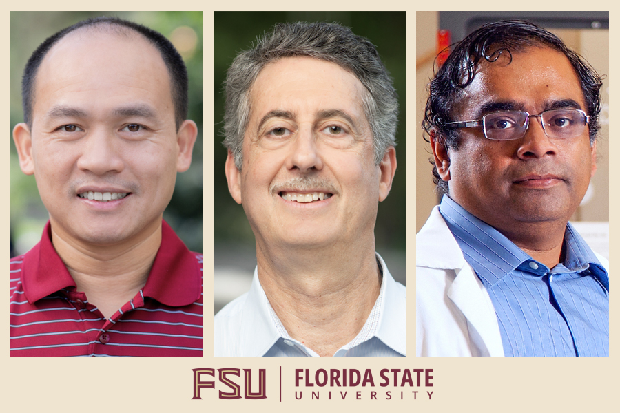 A composite image featuring headshots of three male Florida State University faculty members arranged side by side above the FSU logo.