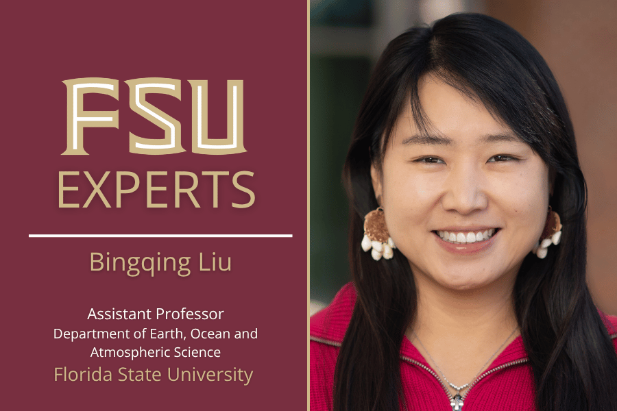 A photo of an assistant professor at Florida State University.